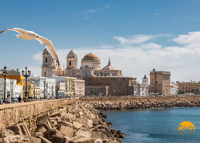 Natural House By Livework * Cádiz