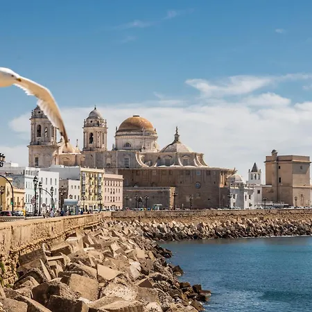 Natural House By Livework * Cádiz